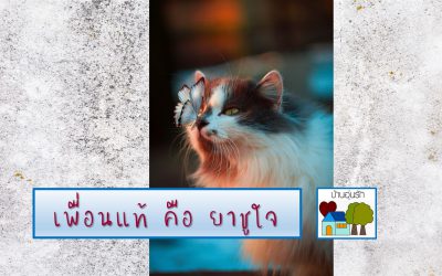 “เพื่อนแท้” คือ ยาชูใจ | บ้านอุ่นรัก